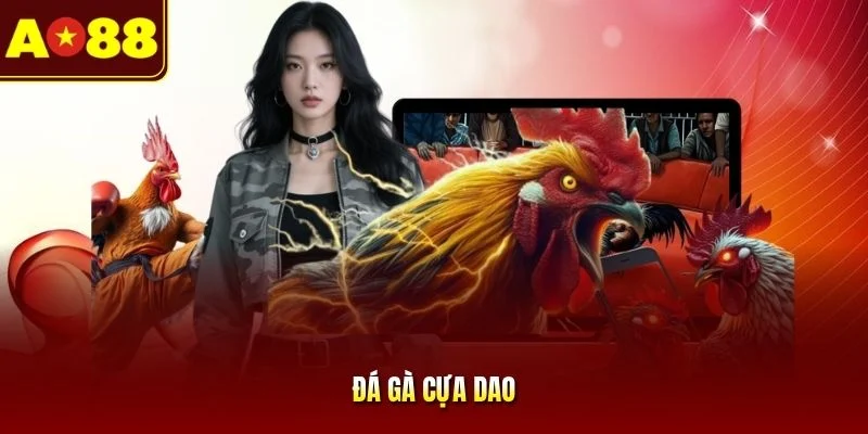 Đá gà cựa dao