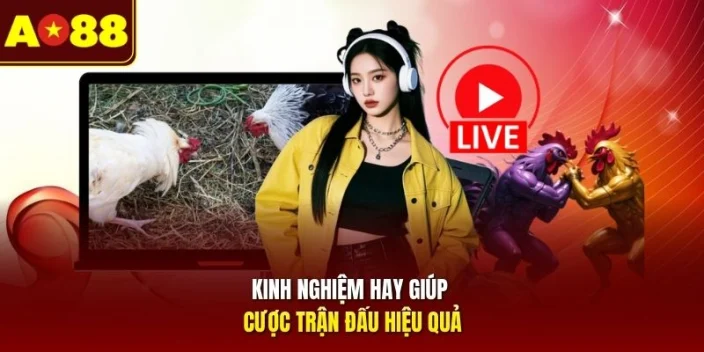 Kinh nghiệm hay giúp cược trận đấu hiệu quả