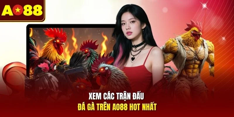 Xem các trận đấu đá gà trên AO88 hot nhất